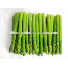 Asperges végétales congelées IQF de culture chinoise